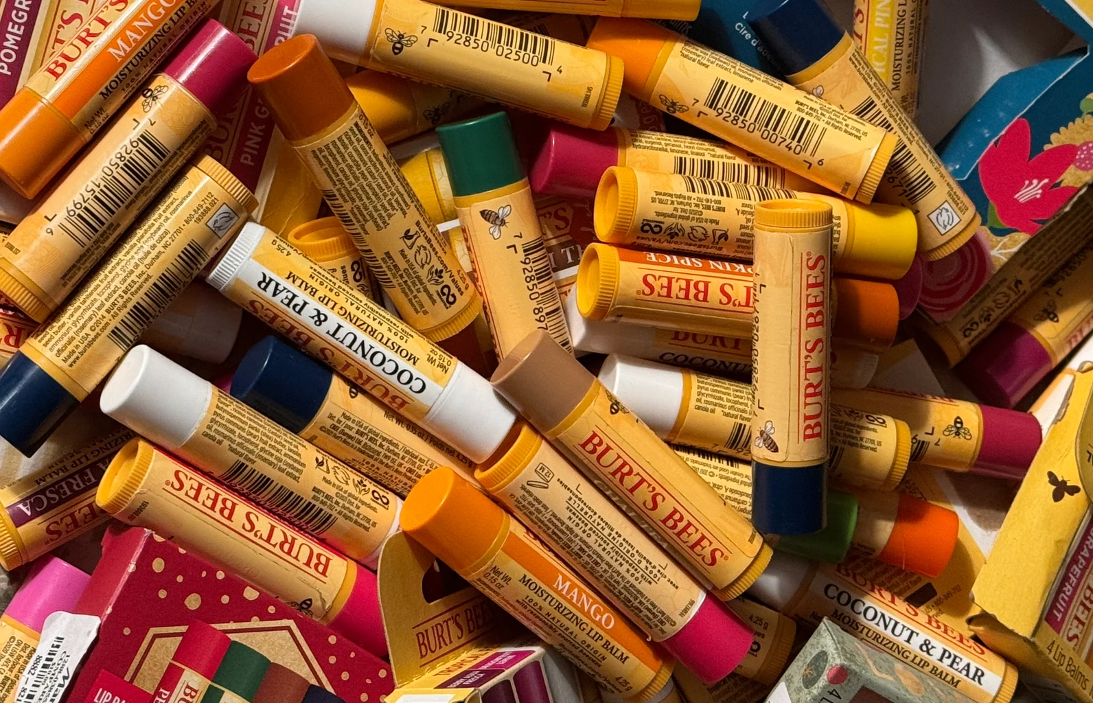 Burt's Bees lip balms